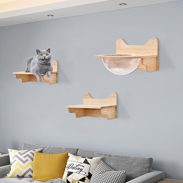 Cápsula espacial de madera para gatos montada en la pared, cama para gatos grandes, transparente