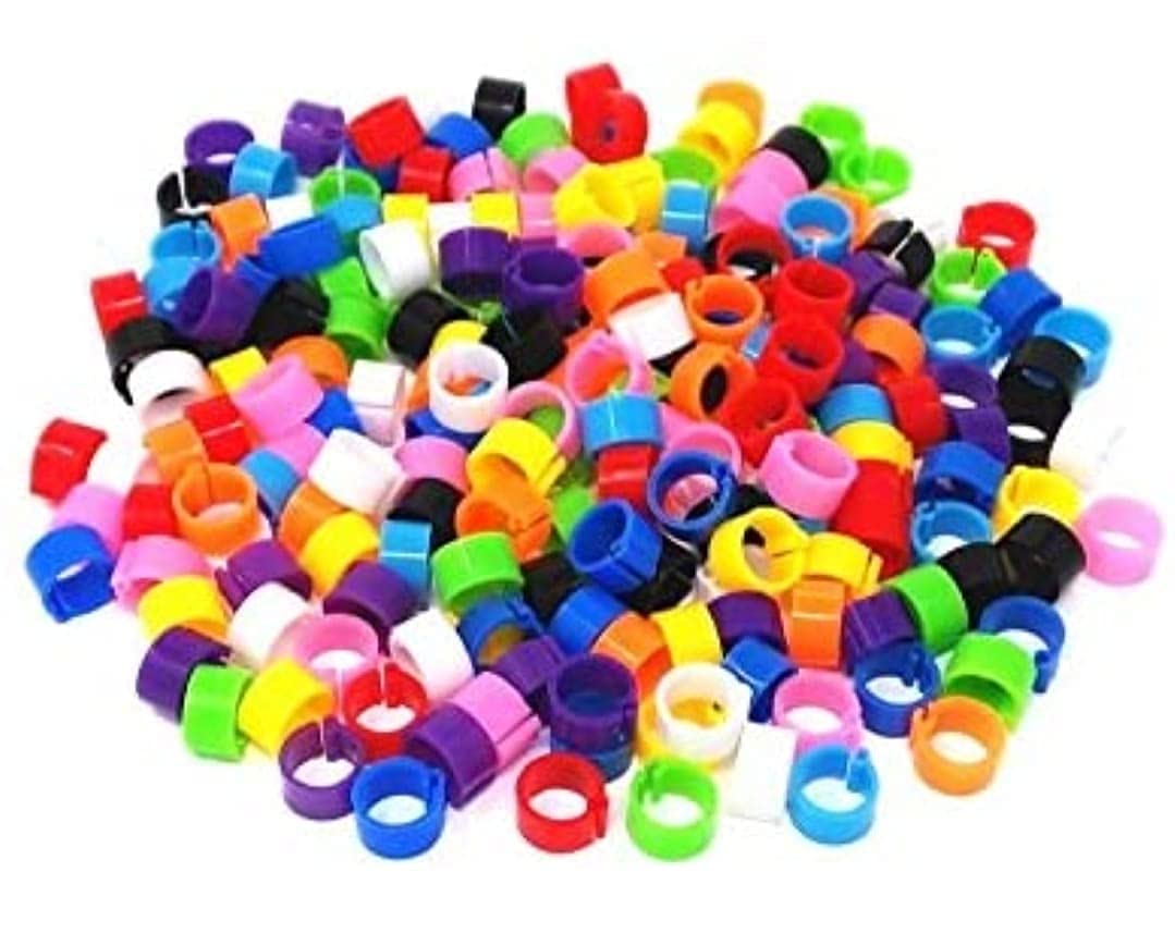 Acro Pigeon Leg Multicolor Clip Rings Band 8mm for Pigeons Dove Cocktail Parrot Chick 100 Pieces (B094W3MYB9) Amazon Price History, Amazon Price Tracker