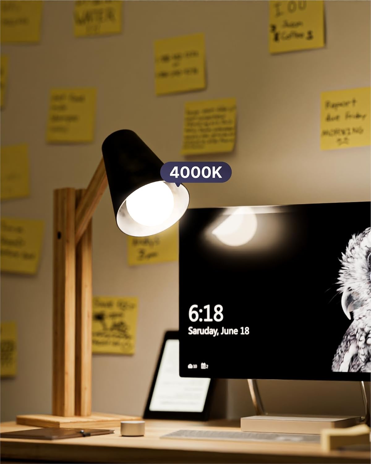 Sunco 10 Pack 3W=25W A19 LED Light Bulbs 4000K Cool White, 250 Lumens, E26 Medium Base, Indoor Outdoor, Super Bright, Instant On, Frosted Lens, Lamp for Bedroom Dining Living Room UL.