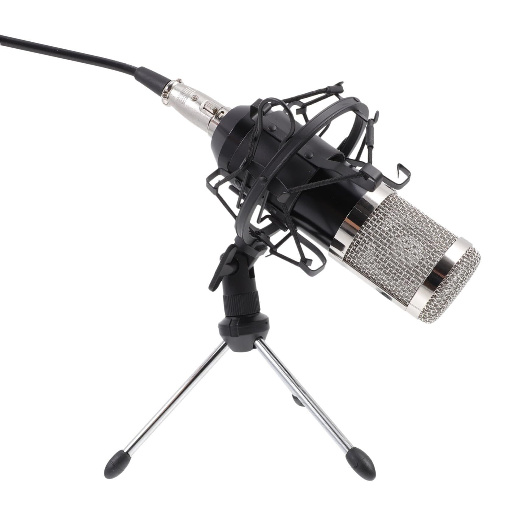 Microfono Condensatore Per Riunioni e Spettacoli Kit Completo Leggero e Compatto Per Ktv e Live Streaming