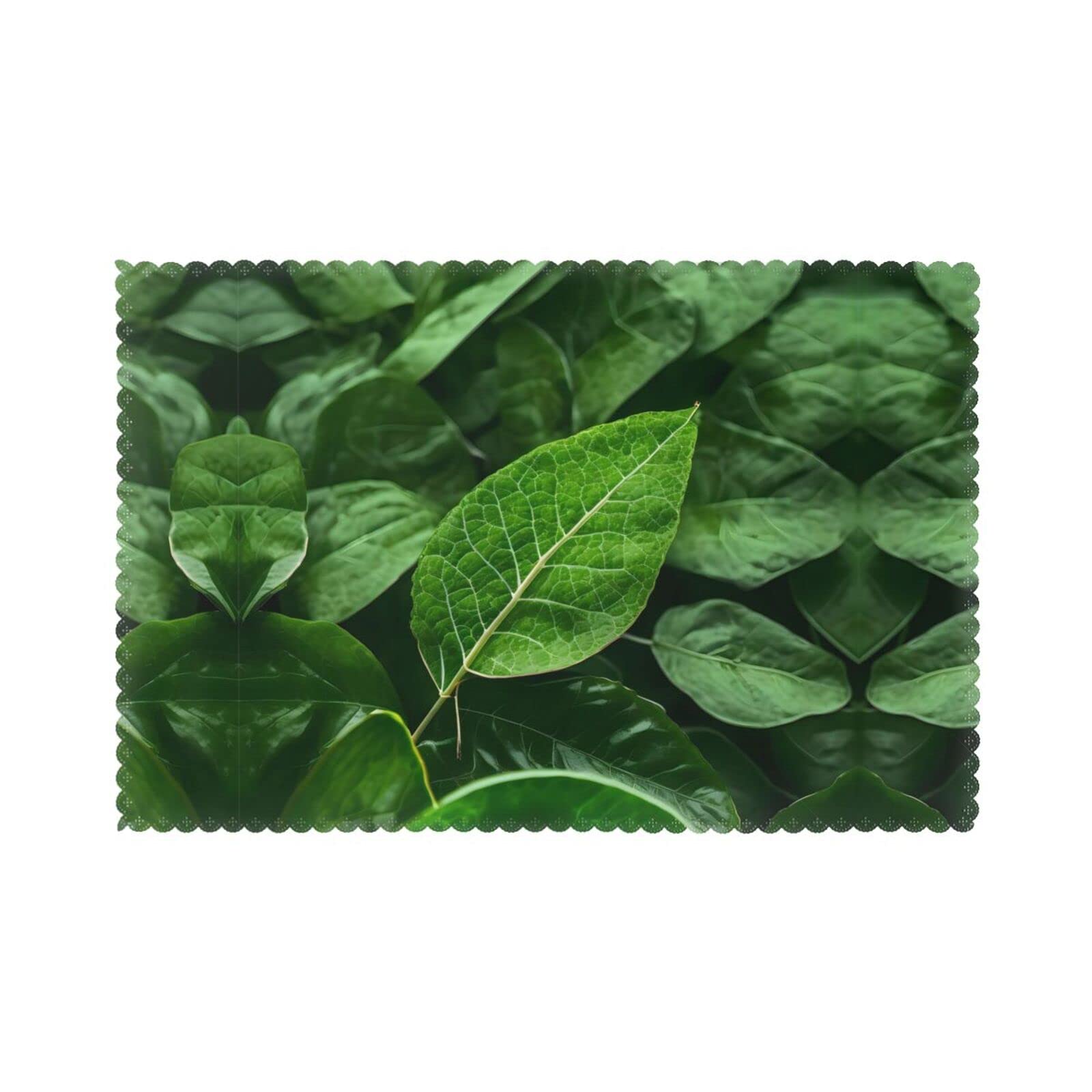 Sets de table pour banquets et hôtels Green Leaf Nature lot de 6
