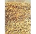 BESTBAIT 500 Maggots Spikes Live Bait Ice Fishing Grub Worms Reptile