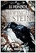 Cover zum Buch Schwingen aus Stein