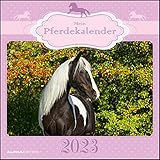 Mein Pferdekalender 2023 - Broschürenkalender 30x30 cm (30x60 geöffnet) - Kalender mit Platz für Notizen - Bildkalender - Wandplaner - Wandkalender