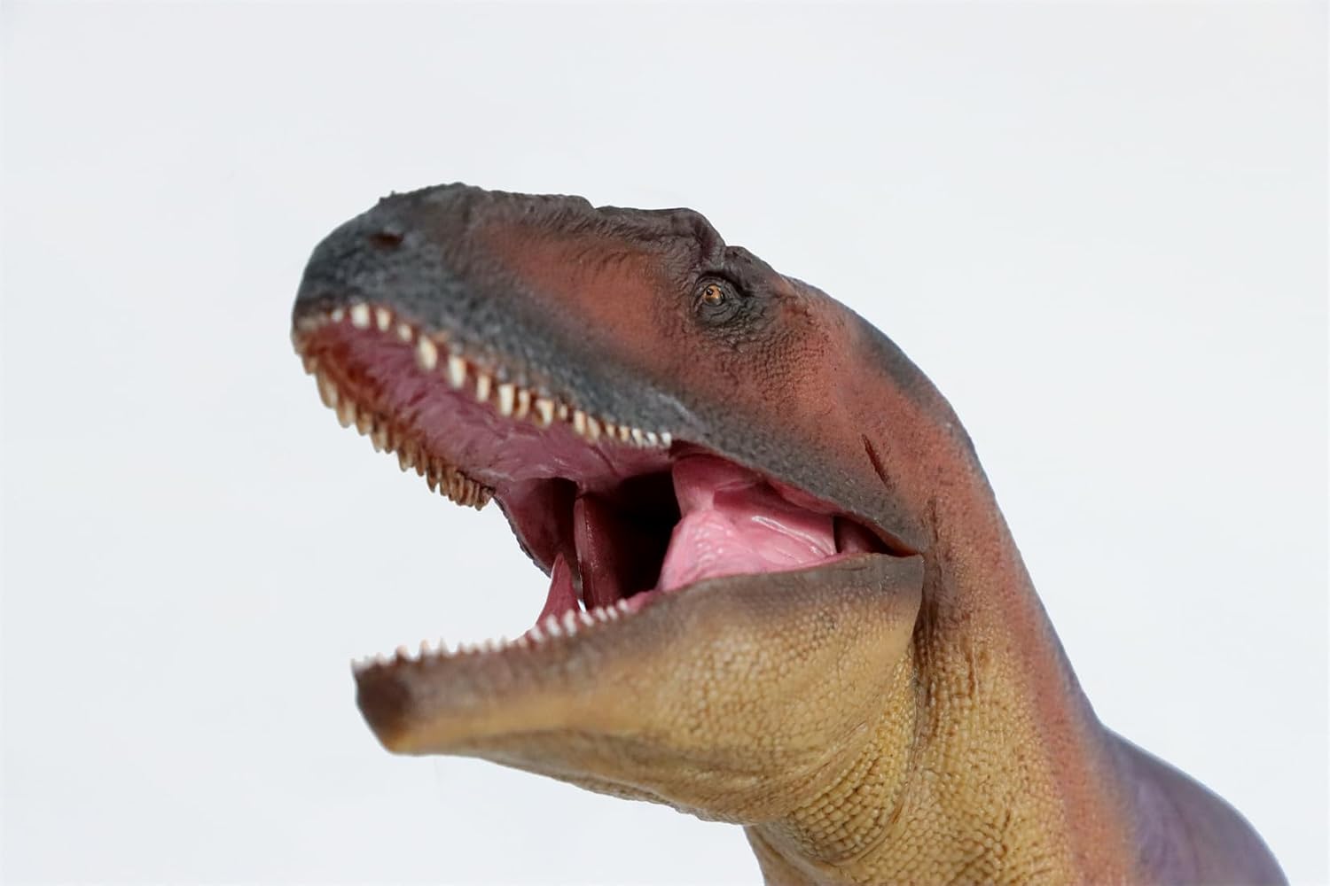 83 Mateo Tyrannotitan Model Dinosaur Figure PVC Animal Collector Home Decor Gift