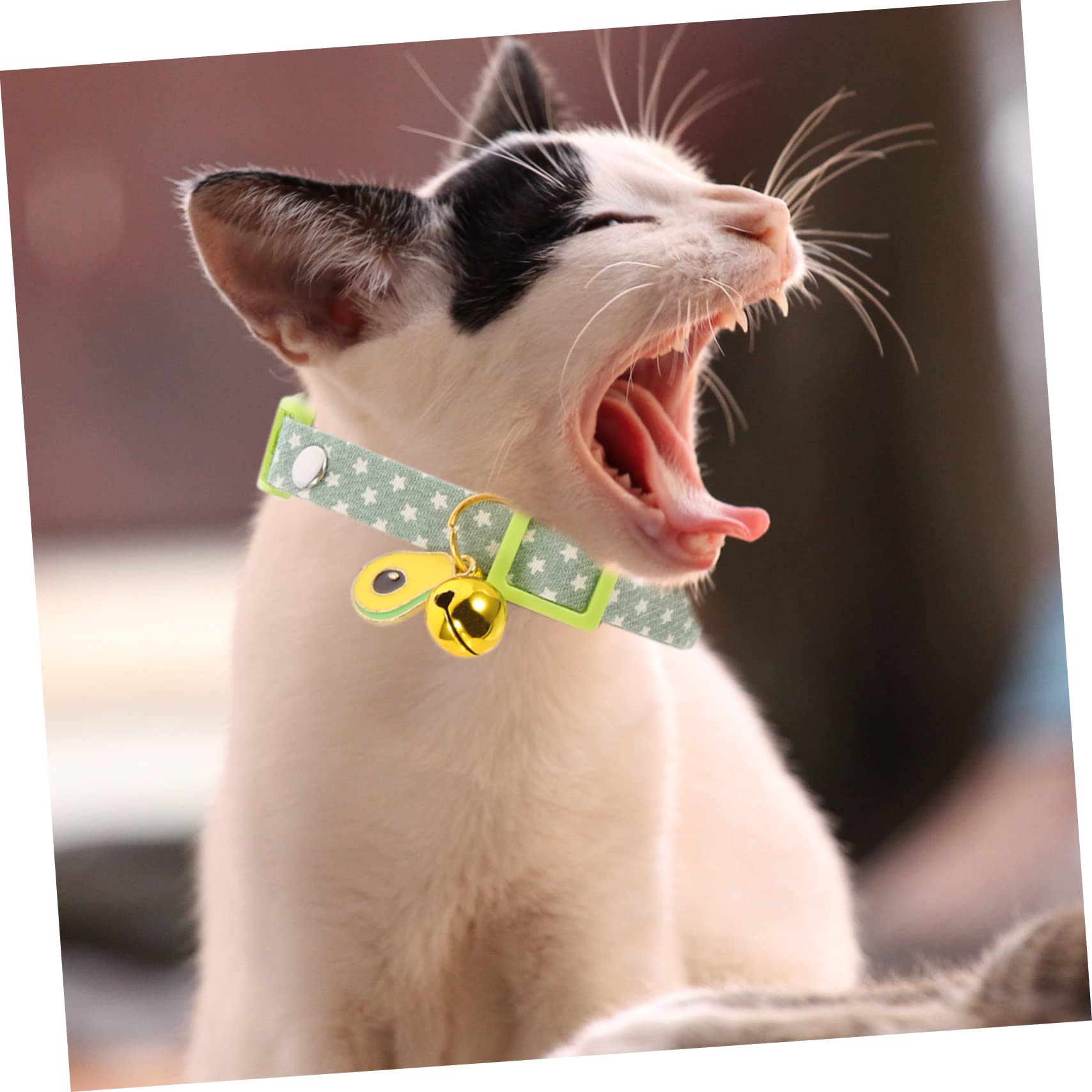 Yardwe 15pièces Collier pour Chat avec Pendentif Avocat pour Et Chiots Collier Décoratif avec Clochettes pour Utilisation Intérieure Et Extérieure Design Et