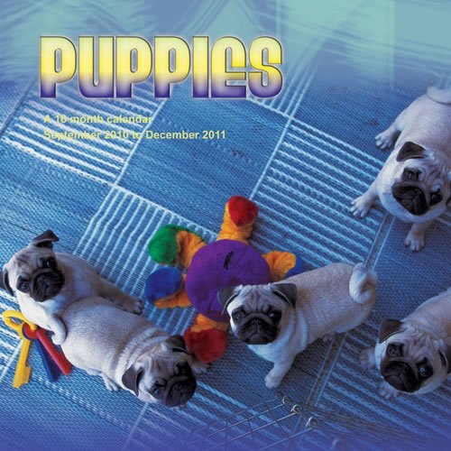 Calendario de cachorros 2011 MGCAD09