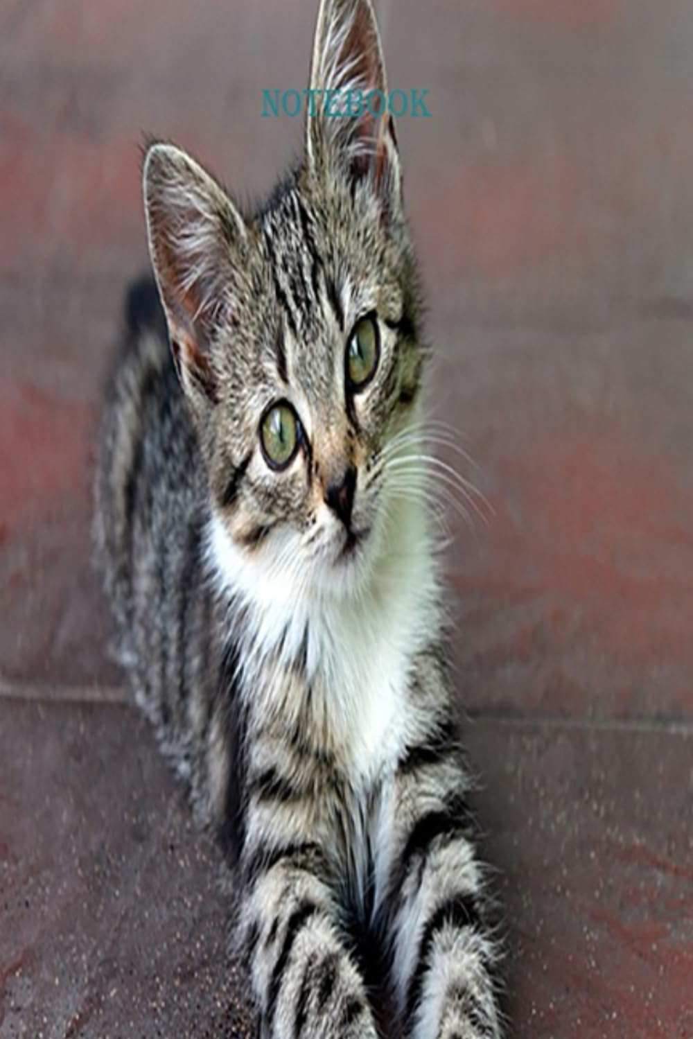 Notebook 6x9 Inch 100 Pages