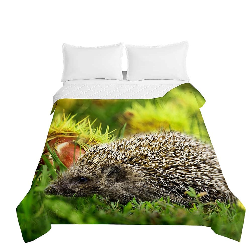 Colcha de verano 220x240cm con estampado 3D de erizo y manta ligera multiuso para cama