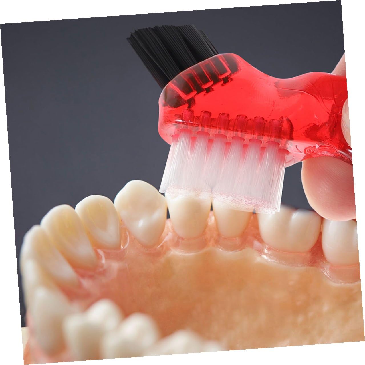 Spazzolino Pulisci Dentiera 3 Pezzi in Plastico Pp Mini Multiuso Resistente Deformazioni per Pulizia Denti e Bite Dentale Uso Quotidiano Domestico