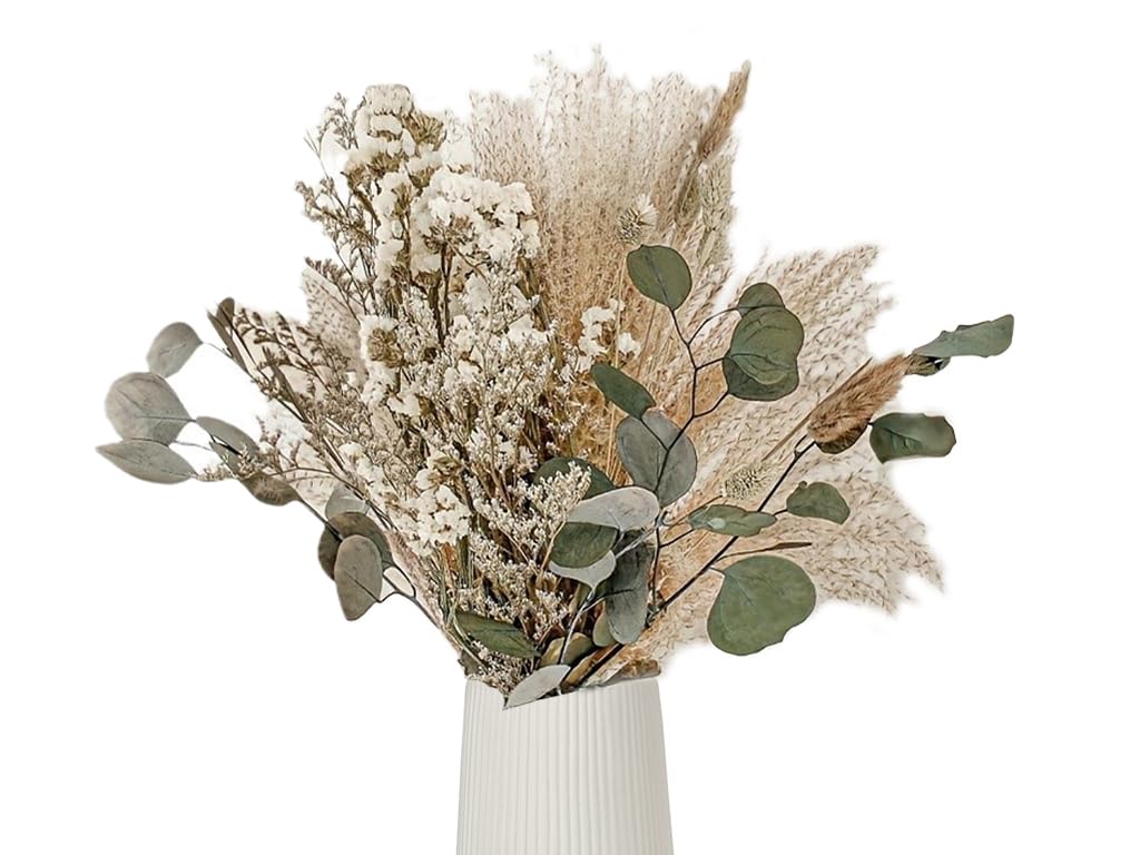 45PCS Pampa Séchées Naturelle - Herbe De Pampa Séchée Pour Décoration Bohème Et Intérieur Élégant