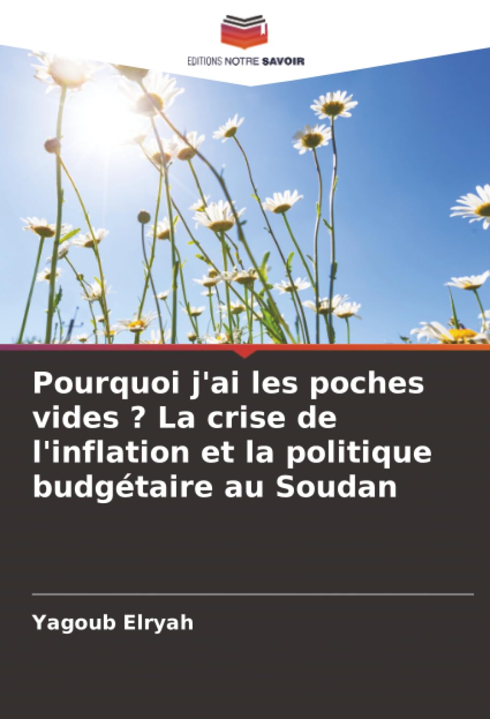 Pourquoi j'ai les poches vides ? La crise de l'inflation et la politique budgétaire au Soudan