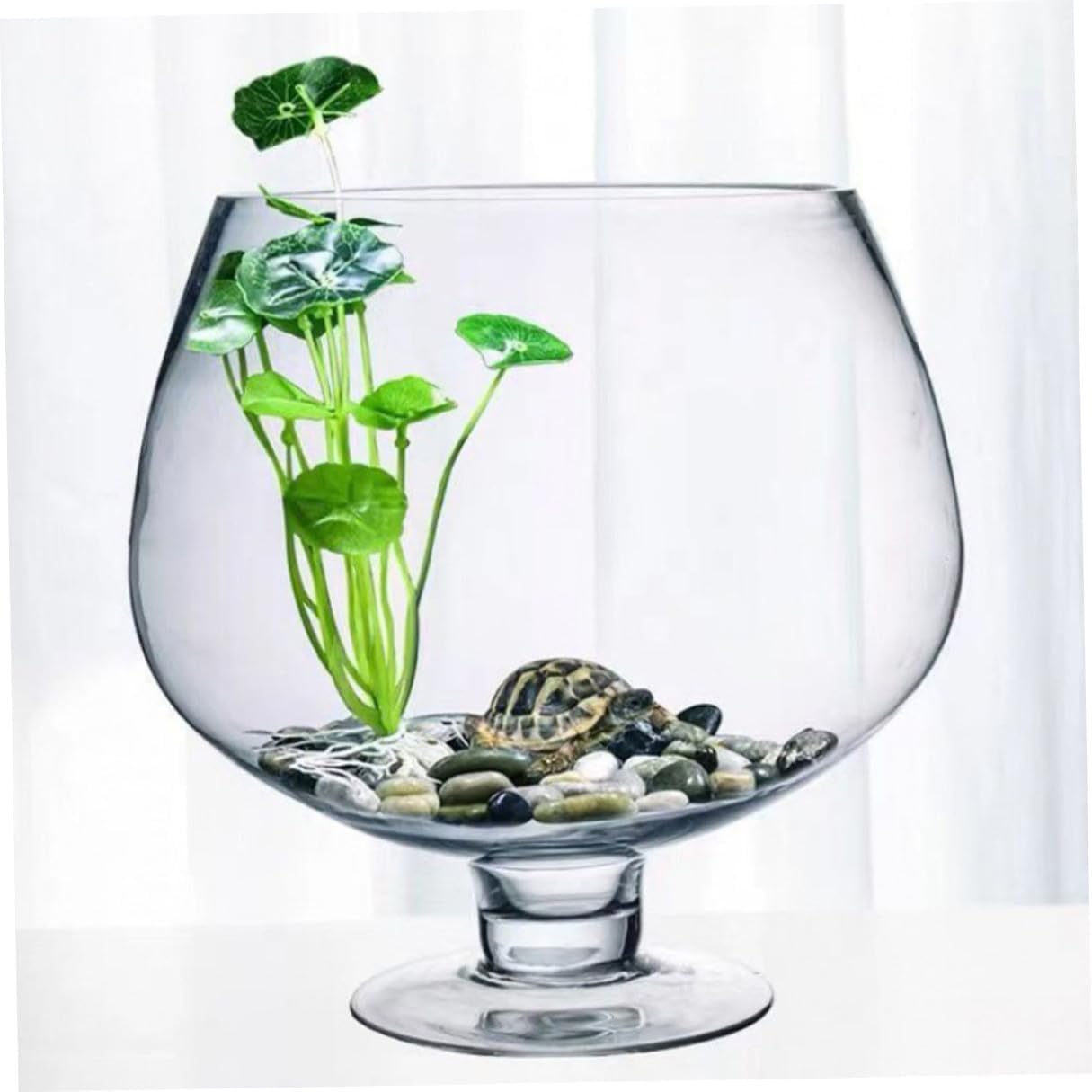 Tofficu Glass Fish Bowl Vase 5000ml Desktop Decorative Betta Fish Tank Hydroponic Aquarium for Home Office