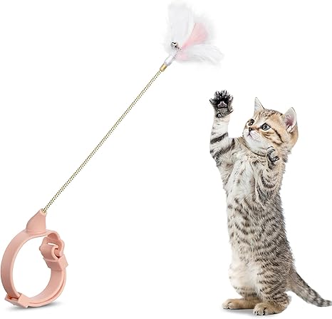 collar for indoor cat