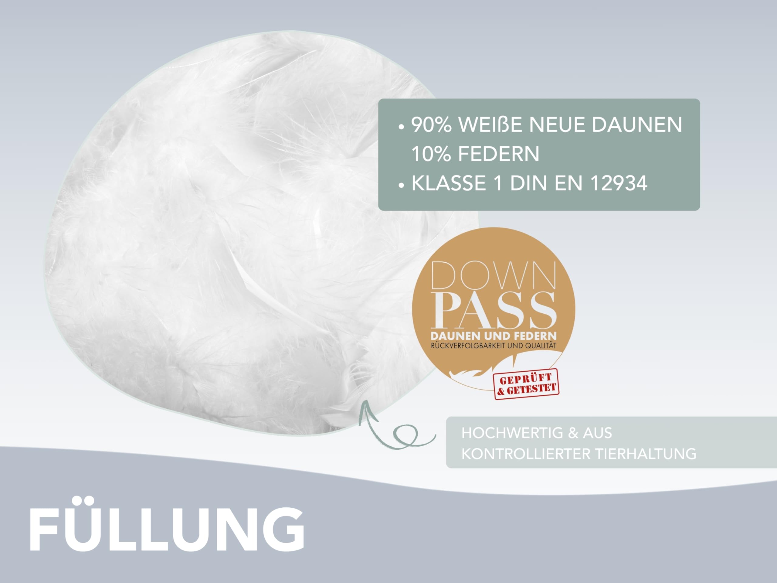 XDREAM Nature Daunendecke leicht | 90% Daunen / 10% Federn | Füllgewicht: 600g | Downpass und Öko-Tex Zertifiziert |220 x 240 cm