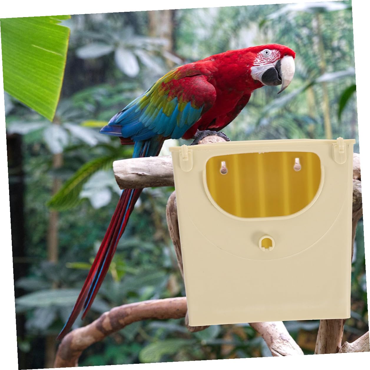 5 Cajas Nidos de Cría para Pájaros Pequeños de Plástico, Resistentes al Exterior, Caja Nido para Pájaros Decorativa y Segura, Suministros para Mascotas en Jaulas, Adecuado