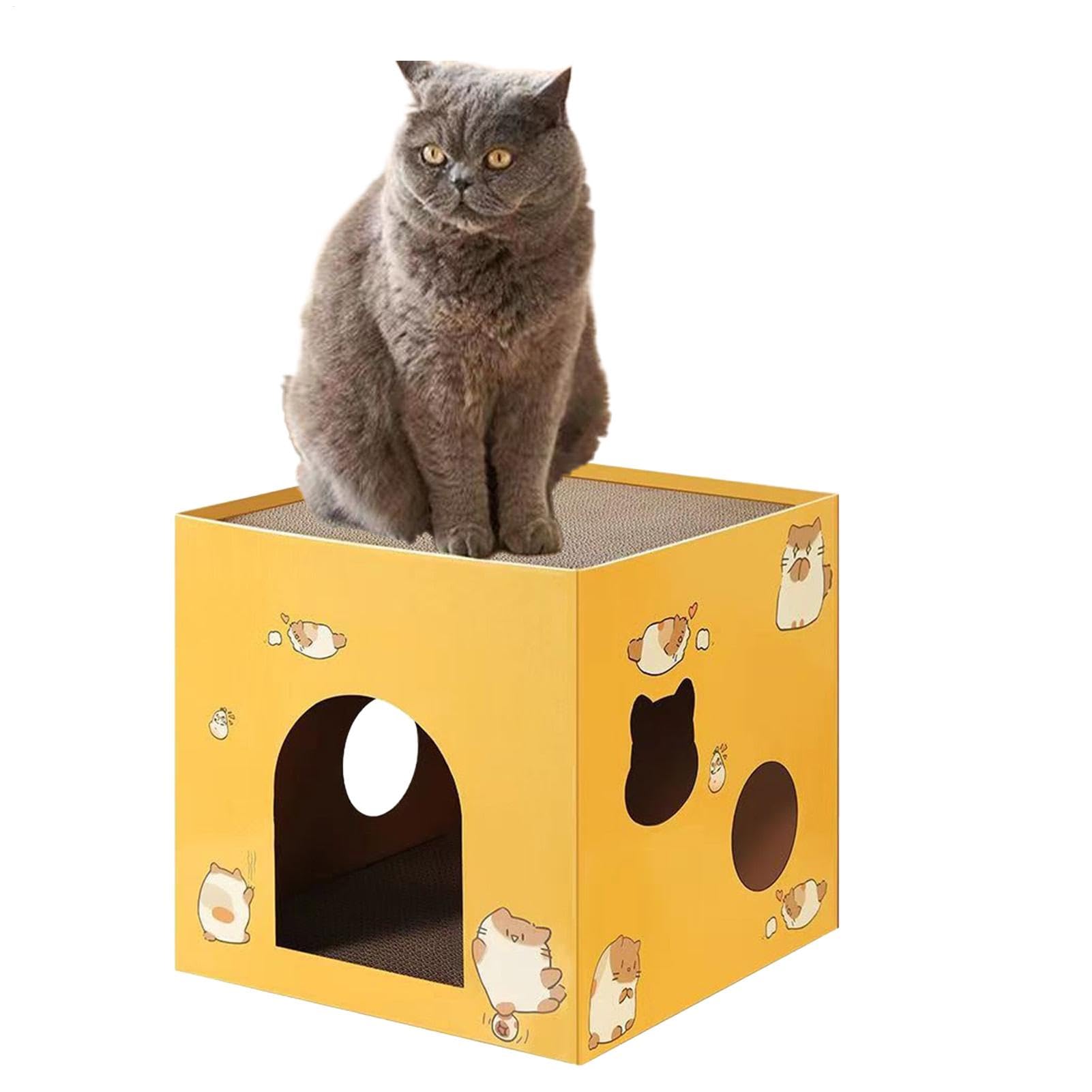 Maison d'intérieur pour chat en carton, le refuge idéal pour jouer et se détendre