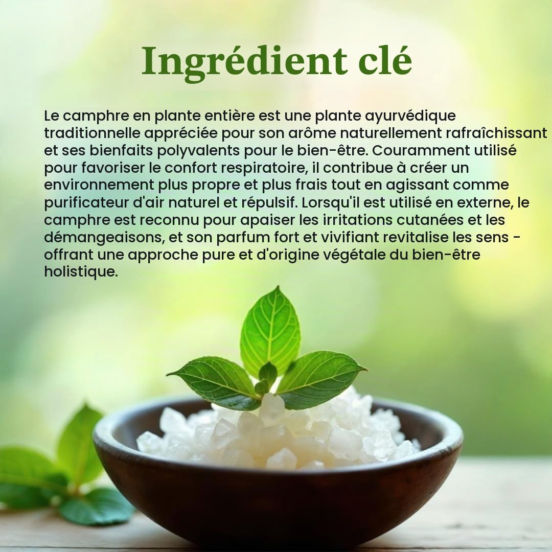 Kapoor Poudre de camphre 250 g