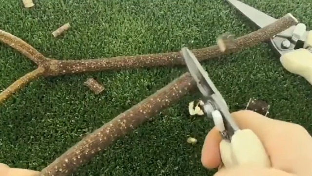 Tijeras de poda robustas para jardín, 2 unidades miniatura 7
