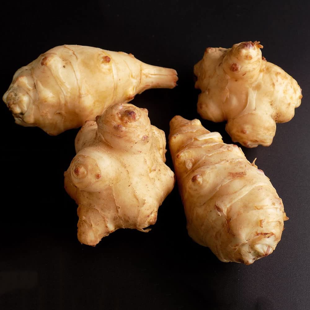 100 Semi Di Topinambur - Helianthus Tuberosus Per Orto, Balcone, Giardino, Vaso - Foto 11