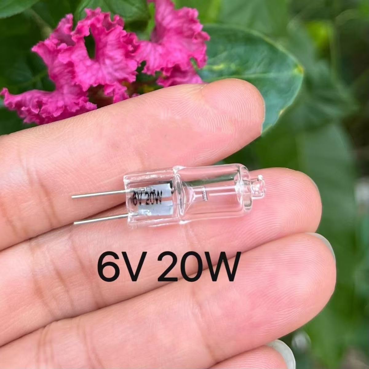 G4 Halogenlampe 6V 20W, 5-Pack Bi-Pin-Sockel, 2700k High Cri 100, für mikroskopische Laboroptikinstrumente (20 PC/6V-20W)