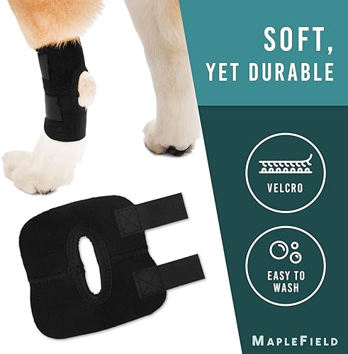 Miniatura 5 de Maplefield - Soporte de pierna para perro - Soporte trasero para patas traseras para caninos - Ayuda a promover la curación y la rehabilitación,