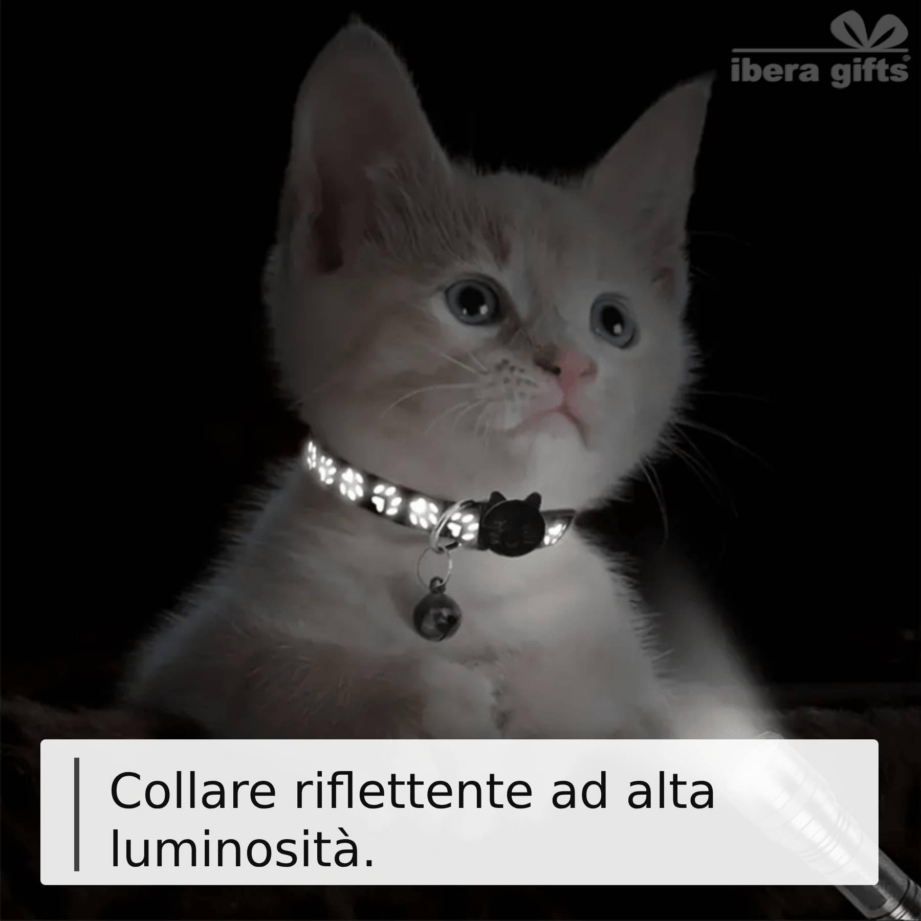Collare Gatto Personalizzato Antistrangolamento e Riflettente, Regolabile, con Targhetta Incisa, Sicuro e Confortevole per Tutti i Gatti (Azzurro)