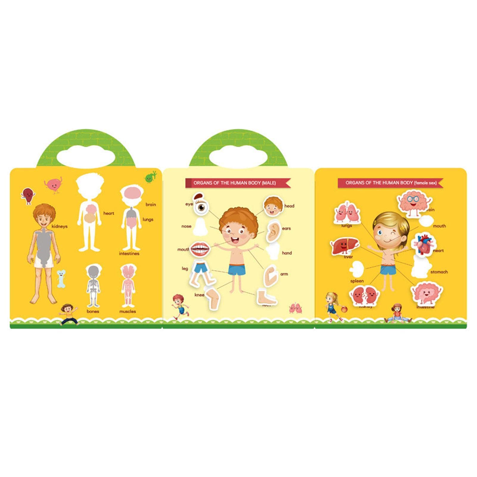 Libro Di Adesivi Riutilizzabile Per Bambini Dai 2 Ai 4 Anni, 2 Set Di Adesivi Per Veicoli E Dinosauri Libro Di Attivit Giocattoli Educativi A~p113842496