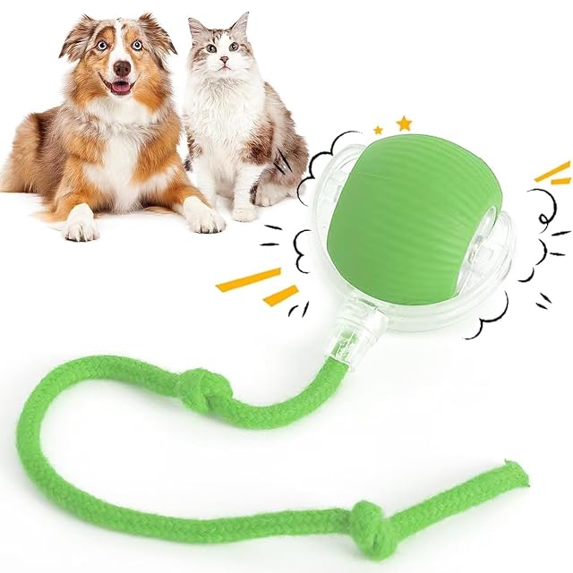2025 Nueva Bola de Perro de Rodillo Interactivo