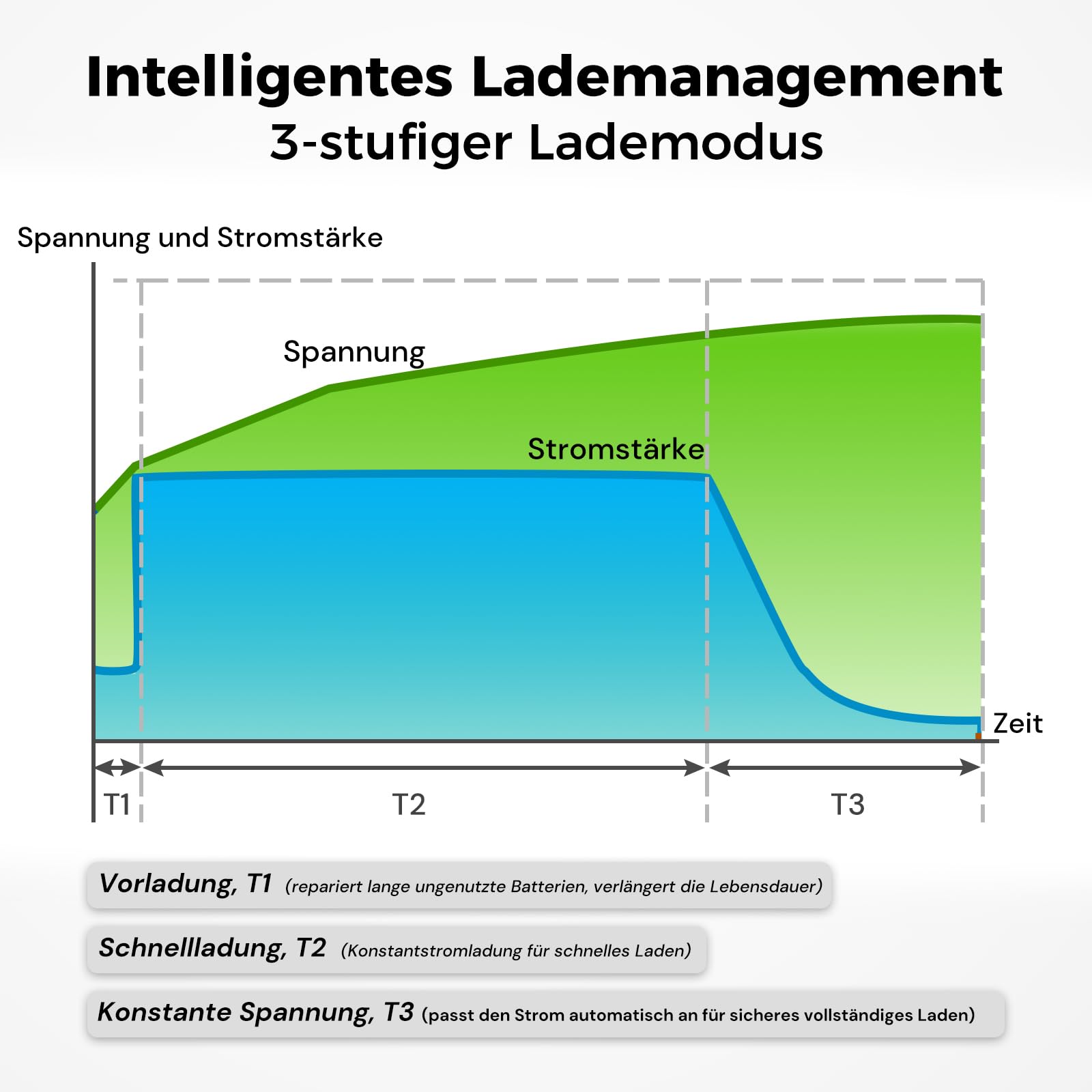 Dyness 14,6 V 20 A litowa ładowarka do akumulatorów