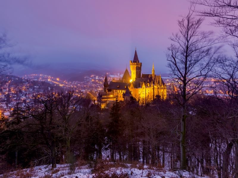 CALVENDO Puzzle Braunschweiger Schloss – 1000 Teile, 64x48 Cm, Premium Qualität Aus Europa