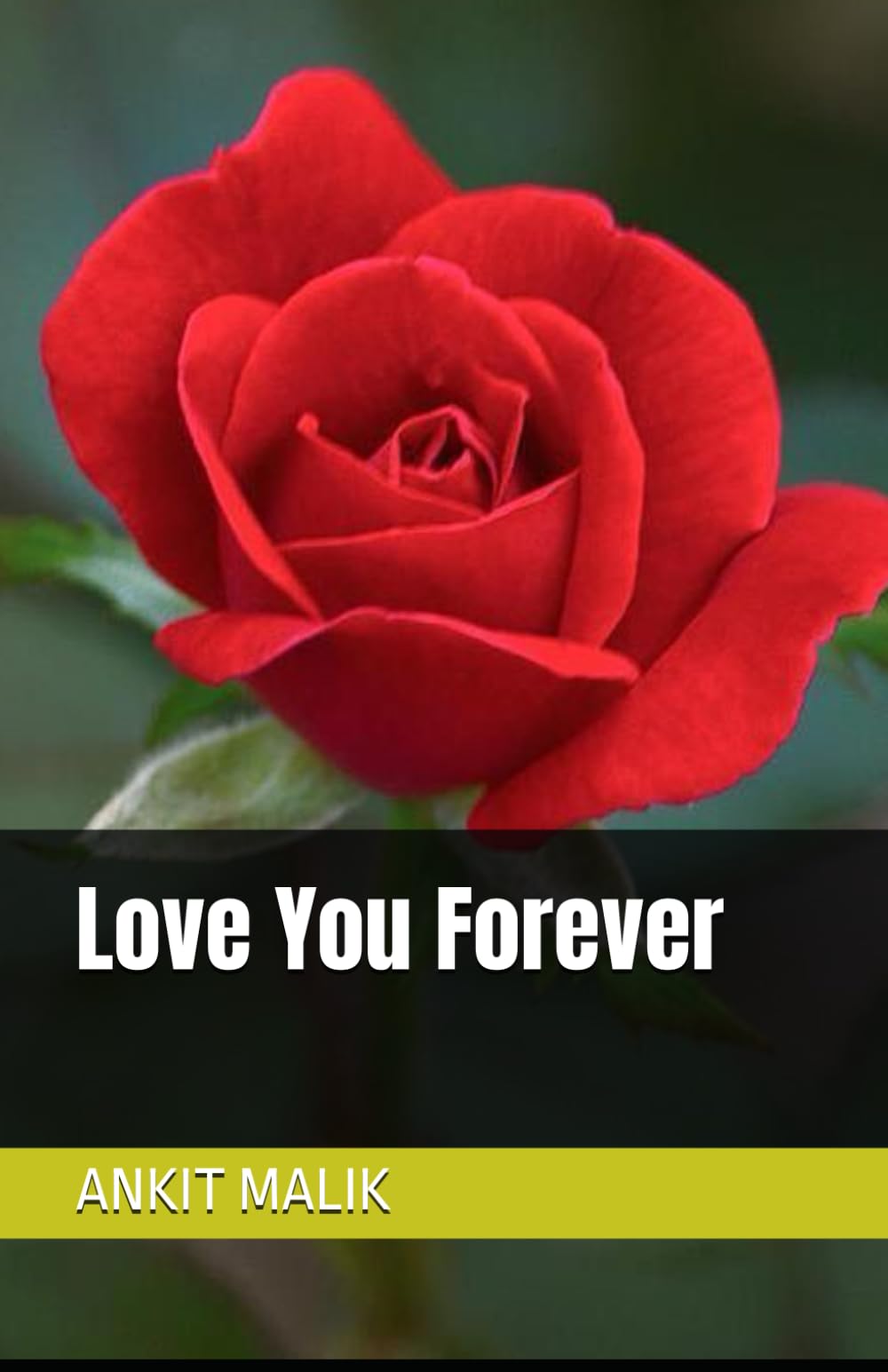 Love You Forever