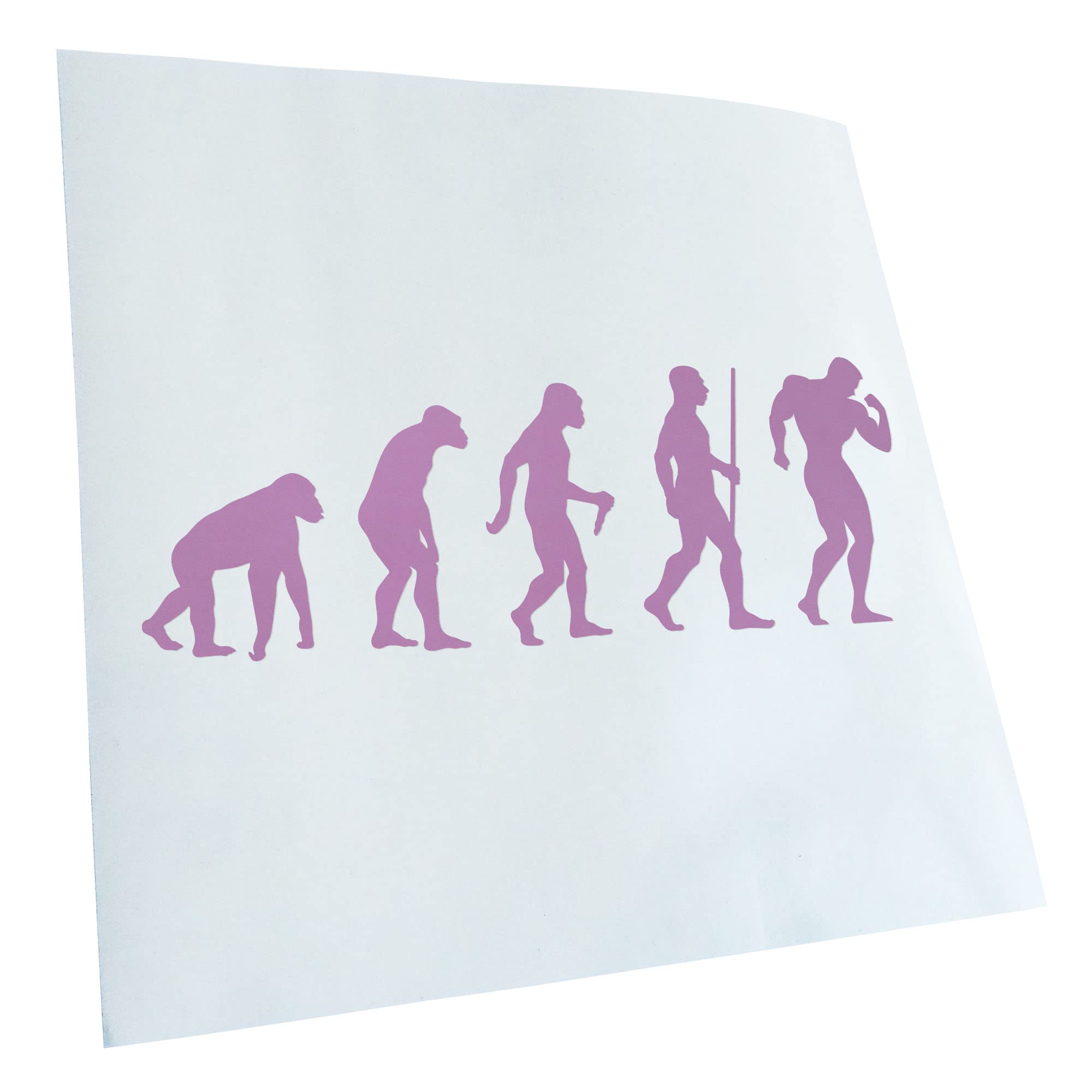 Kiwistar - Car Sticker - Bodybuilding Evolution - Lilac - 30 x 11 cm - Rear Window Car Sticker Weatherproof for Car Truck Moped Truck - Sticker Exterior Self-Adhesive Tuning Accessories for Window