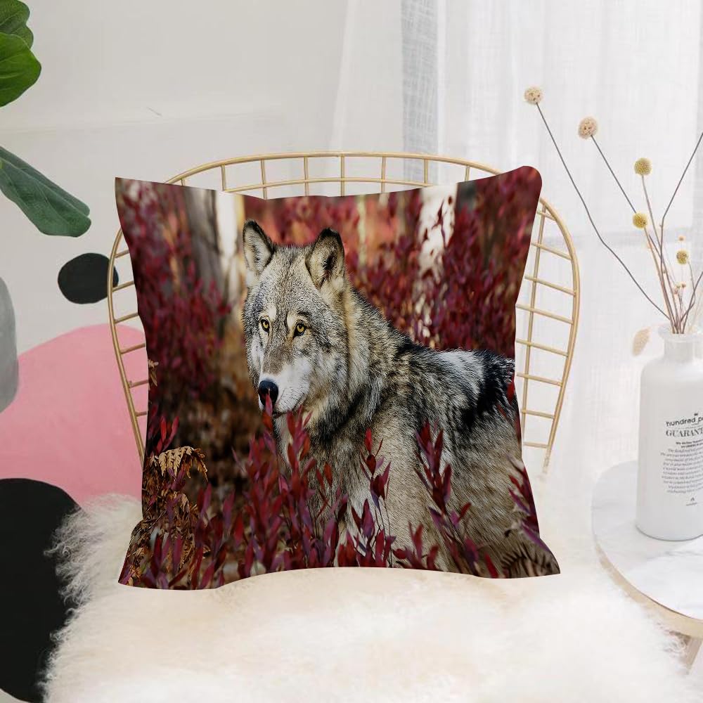 HYOSXW Cushion Cover,Throw Pillow Case Home Decorative for Living Room Bedroom Sofa Chair 16X16 Inch,Grey wolf in beautiful red foliage,Pillowcase 40X40cm