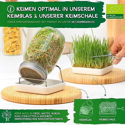ZenGreens® - Bio Sprossen Samen - im 6er, 10er und 20er Set