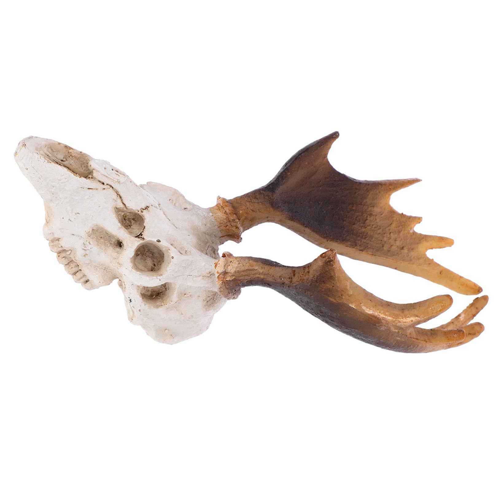 POPETPOP 5 Pz Decorazione Dell'habitat Animali Ornamento Della Caverna Del Rettile Acquario Per Rettili. Pelle Di Teschio Di Cervo Nascondiglio Per Rettili Nascondiglio Dei Rettili Resina