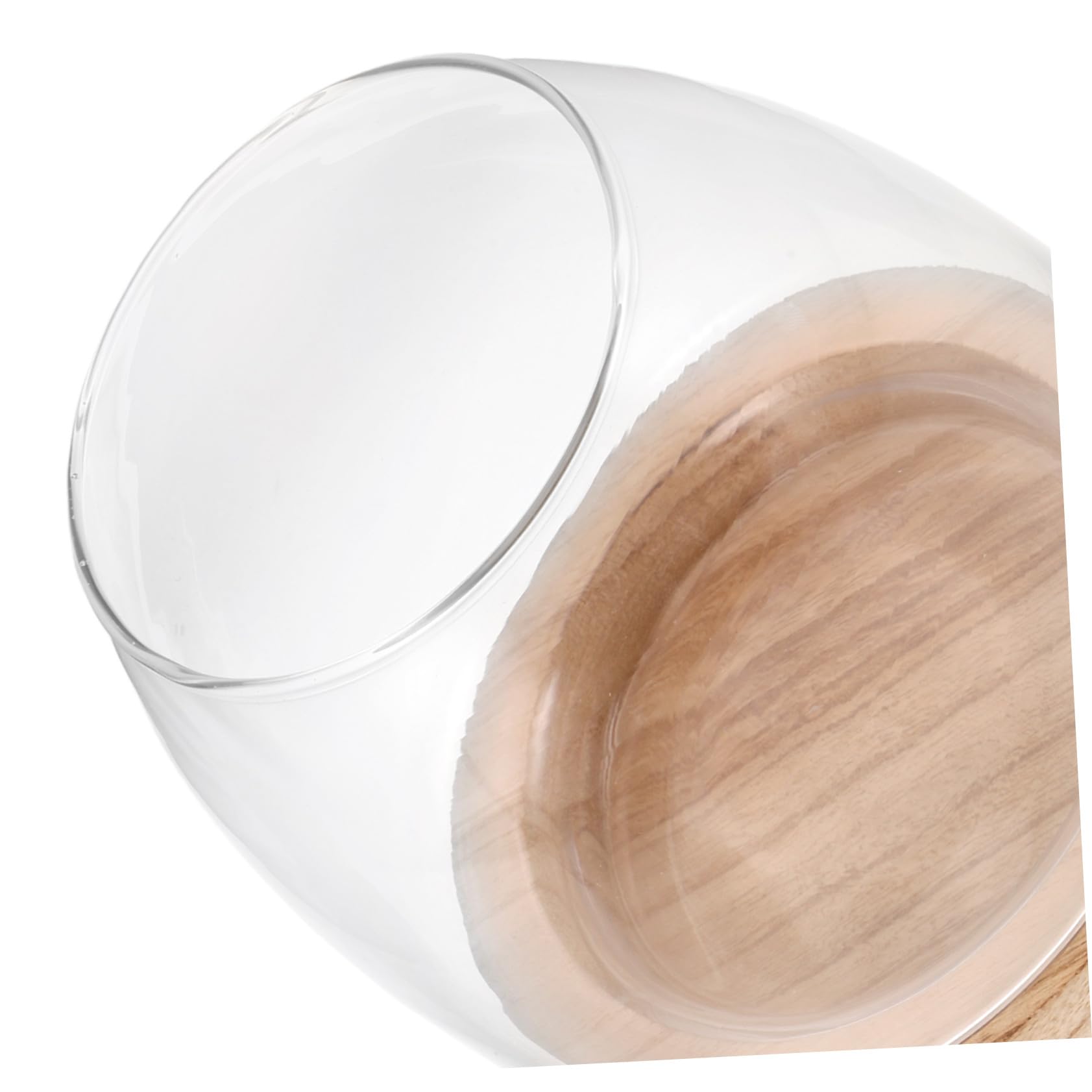 Vase Hydroponique Verre avec Base Propagation Eau Facile Décor de Table Élégant pour Plante Intérieur et Aquarium Miniature