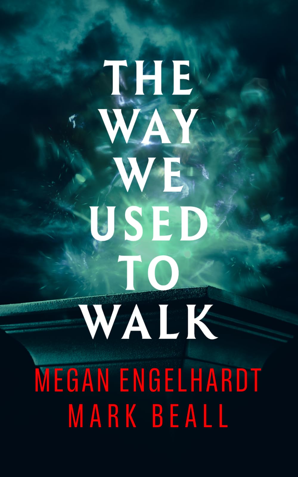 Buy The Way We Used to Walk — BookShops.in