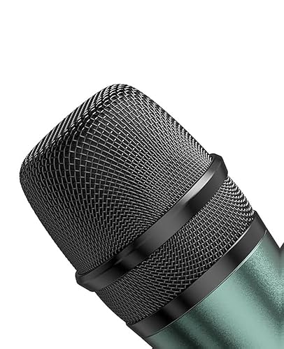 Amazon Basics Professional Microphone with On/Off Switch
