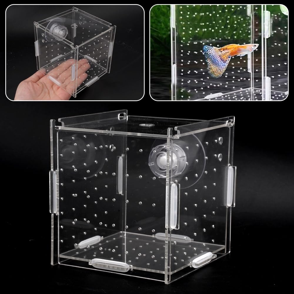 10 × 10 × 10cm Allevamento per Acquario con Ventosa, Mini Terrario per Insetti, Piccola Acrilico Scatola di Allevamento, Trasparente Sala Parto Acquario, per L'isolamento, la Schiusa, la Piscicoltura