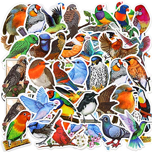 200 Pcs Birds Stickers Vinyls Waterproof Animal Cartoon Bird Decal for Kids Teen Christmas School Classroom Gifts Water Bottles Laptop Luggage Phone Skateboard Refrigerators Computer Supplies