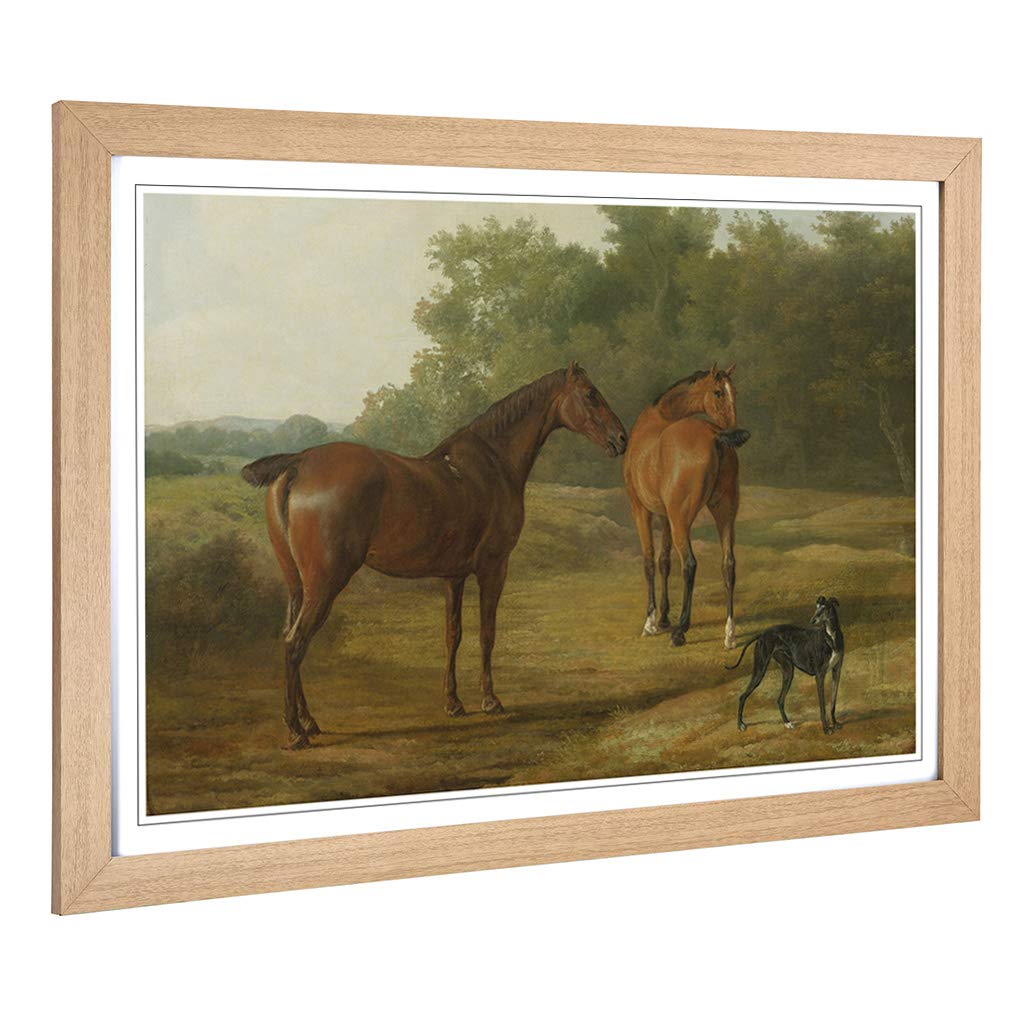 Big Box Art Framed Print of Jacques-Laurent Agasse Horses and Hound Design | Wall Art Picture | Home Decor for Kitchen, Living Room, Bedroom, Hallway, Oak, A2 / 24.5x18 Inch / 62x45cm