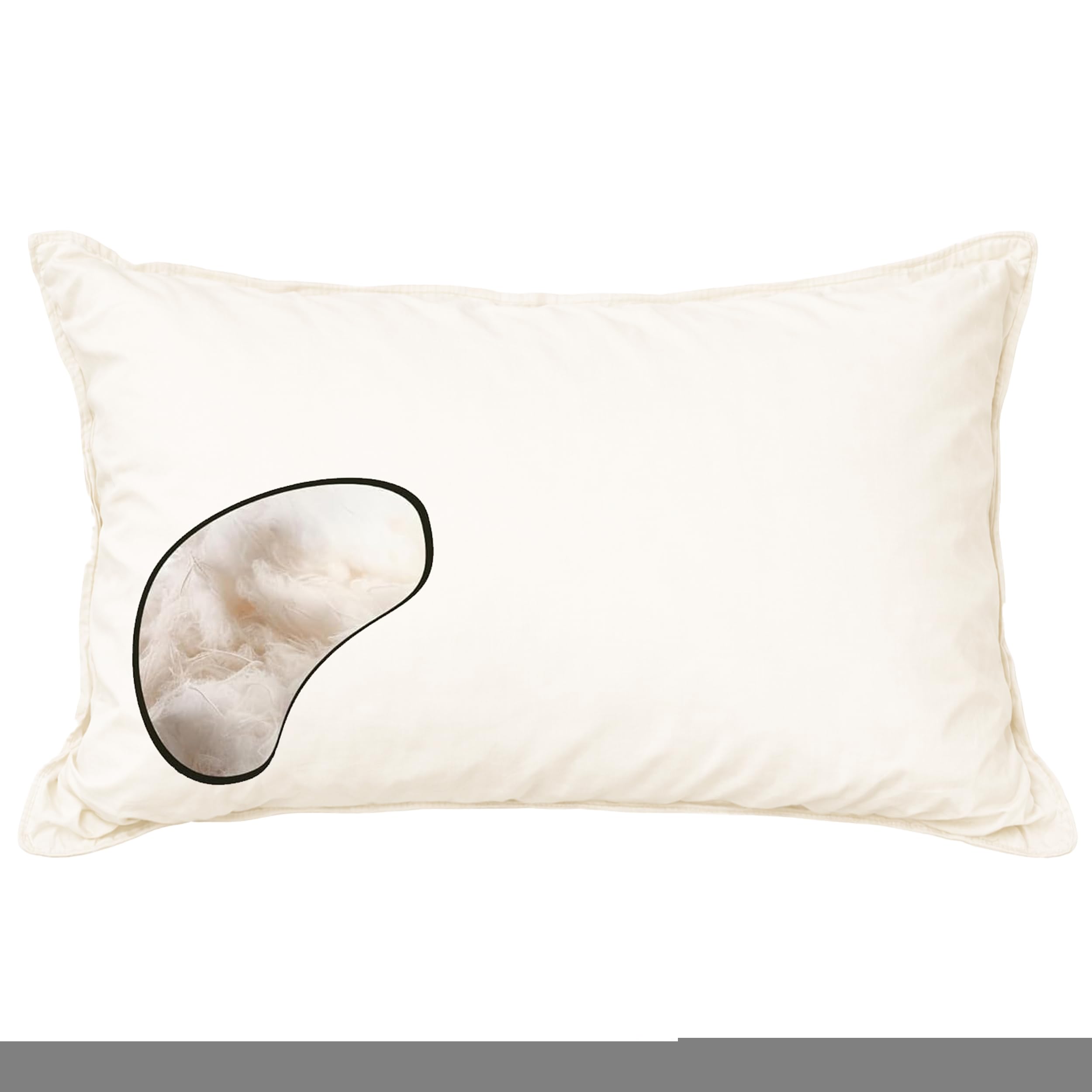 100% All Organic Cotton Fiber Filled Pillow (King - Heavy Filled
