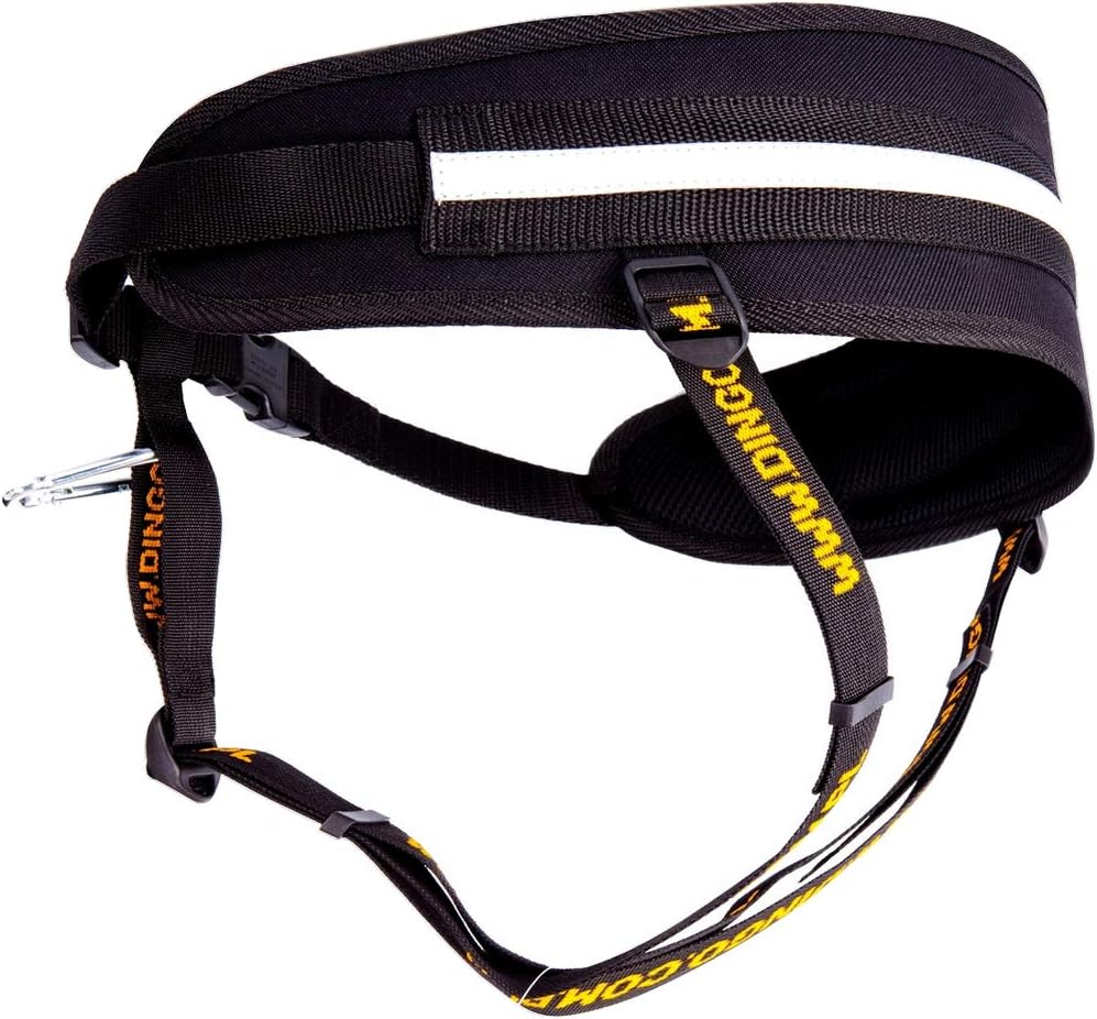 Dingo Canicross Belt 4 in 1 Handmade Adjustable Safe Comfortable Multifunctional Free Hands Waist Belt For Dog Run Sport