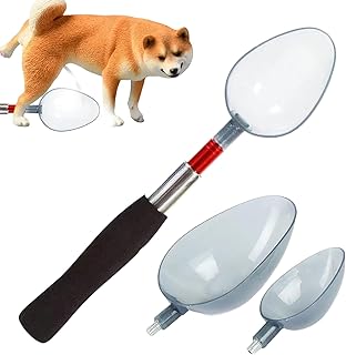 Collecting Dog Urine Samples: A Vet's Guide | MedShun