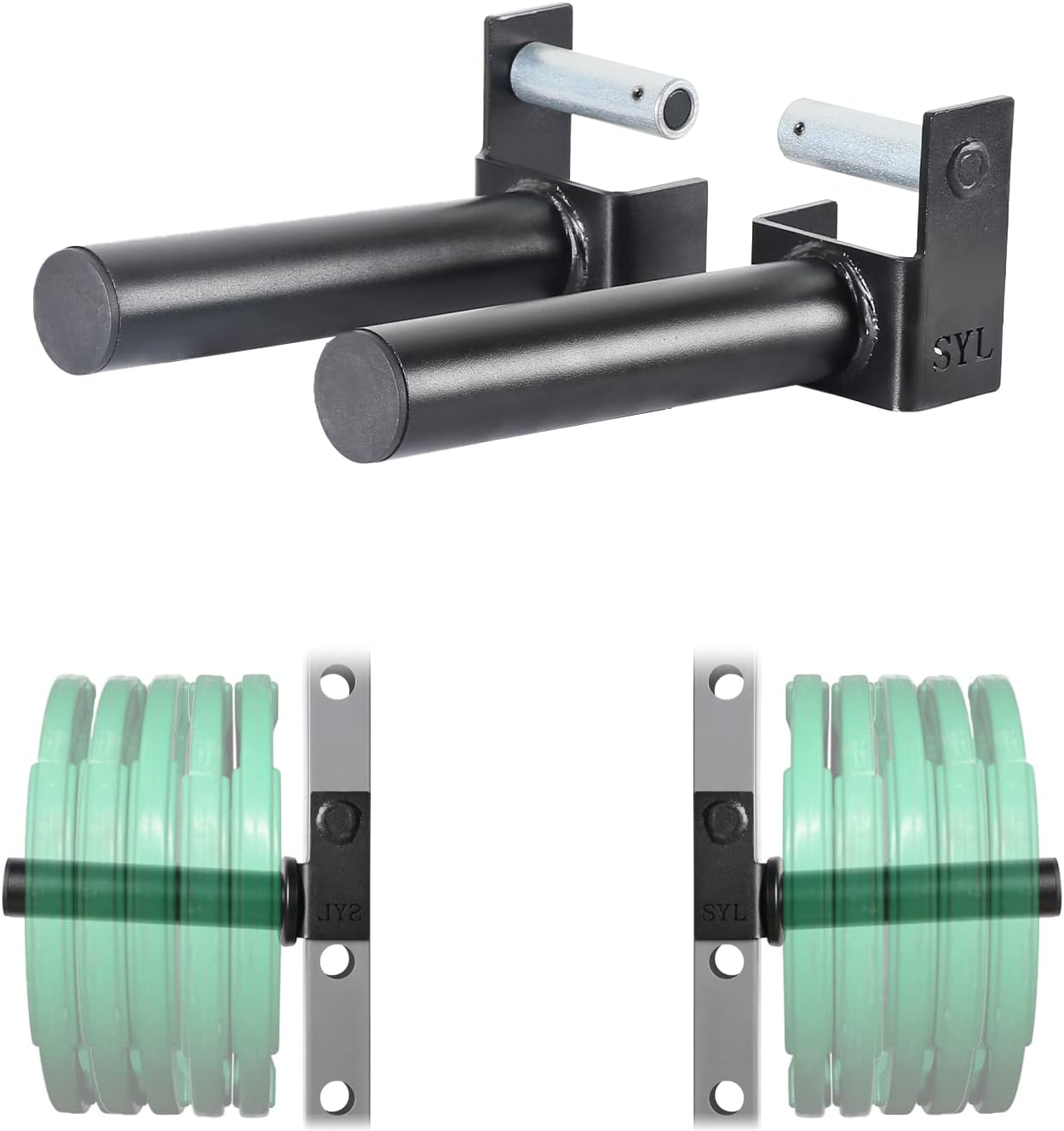 SYL Fitness Olympic Weight Plates Holder Power Rack Attachment Weights Storage Rack, Fit 2x2 inch & 3x3 inch Tube (New Patent Model (Side/Behind), For 2x2 rack (All hole size)) : Sports & Outdoors