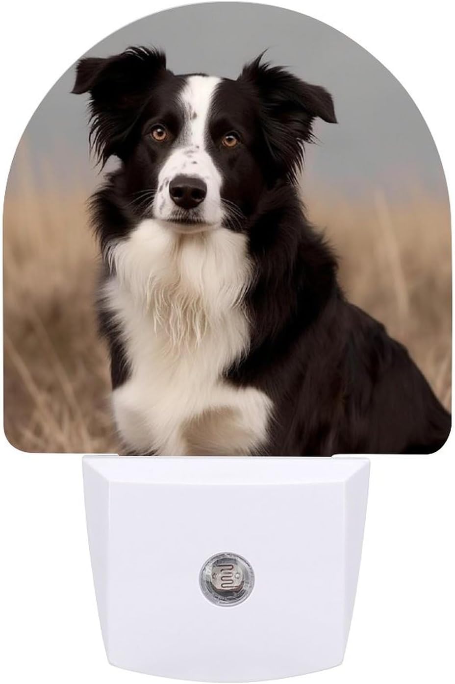 Plug in Led Night Light Border Collie Printed Night Light Lamp with Auto Dusk to Dawn Sensor for Bedroom Bathroom Kitchen Hallway Stairs Energy Efficient Decor Lamp