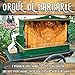 Orgue de Barbarie, Vol. 2
