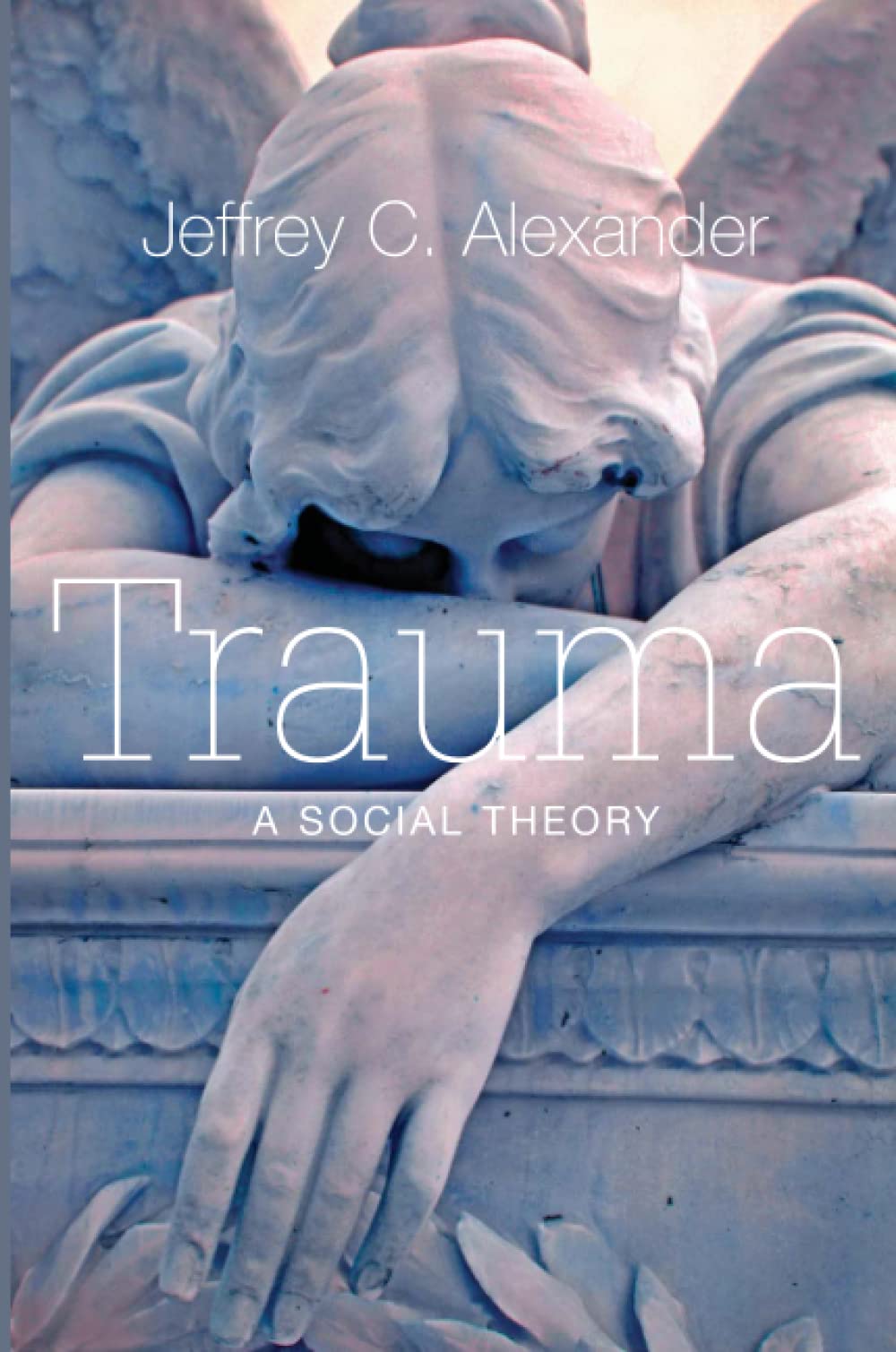 Trauma by Jeffrey C Alexander PAPERBACK 9780745649122