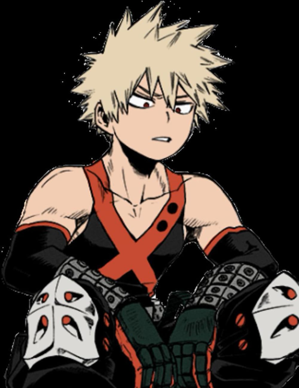 Bakugo Journal